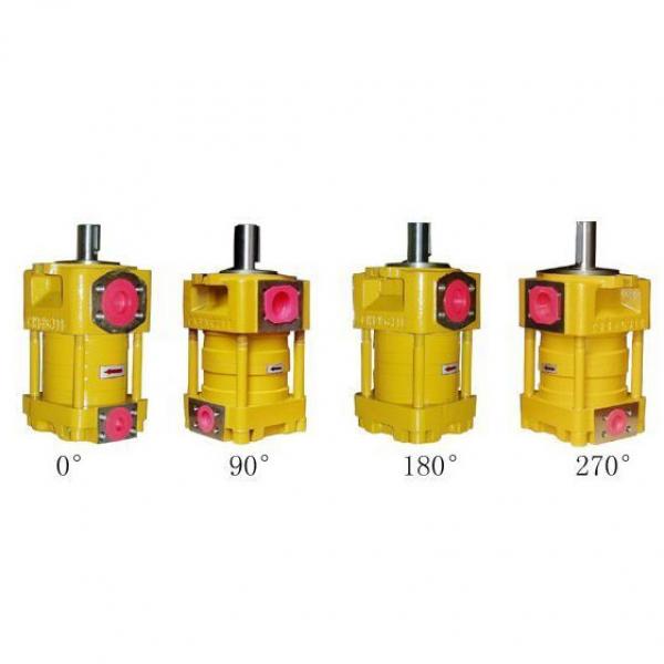 SUMITOMO origin Japan QX5133-100-10 Q Series Gear Pump #1 image